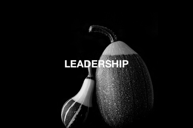 Développer son leadership